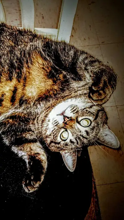 Looking for a 2 bedroom apartment in St.James for January 1st, View more