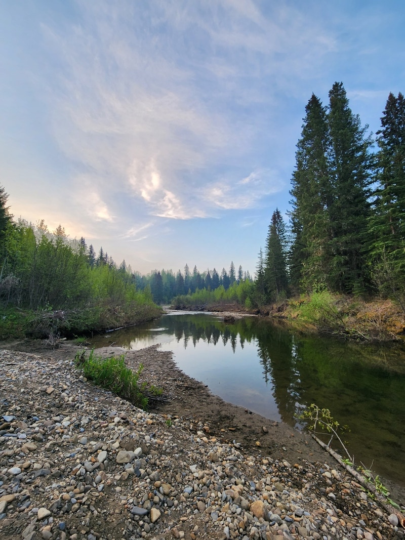 22 Female Looking for work Other Red Deer Kijiji