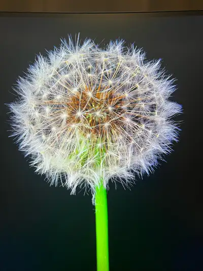 ASUS TUF 27” Curved Gaming Monitor WQHD 165hz, View more