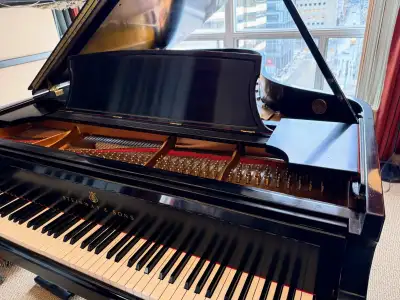 Steinway Model B Grand Piano — Private Sale, Toronto, View more