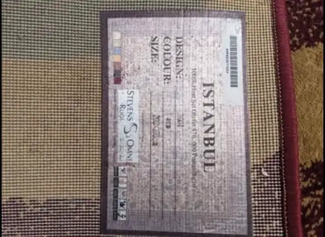Floor Rug in Rugs, Carpets & Runners in Ottawa - Image 3