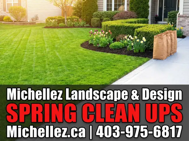  SPRING YARD CLEAN UPS | Fast, Professional & Affordable! 