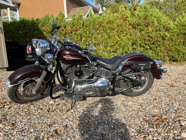 Harley Davidson Softail Classic 2005 in Touring in West Island - Image 9