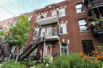 WOW ! HOMA * Bright 1 bedroom furnished or semi