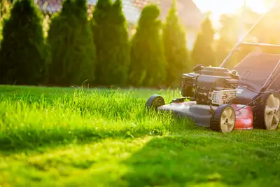 LAWN CARE 2026 RESIDENTIAL & COMMERCIAL, View more
