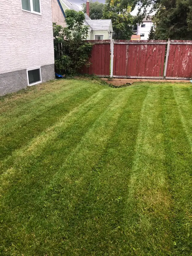 spring cleanup starting soon in Lawn, Tree Maintenance & Eavestrough in Winnipeg - Image 3