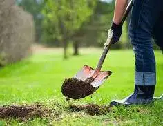 . Help wanted to dig 7 regular size holes for small trees all in a row. Have new Shovel you can borr...