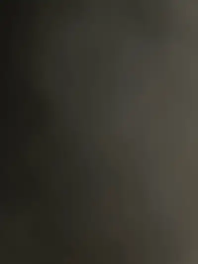 South Indian chef, View more