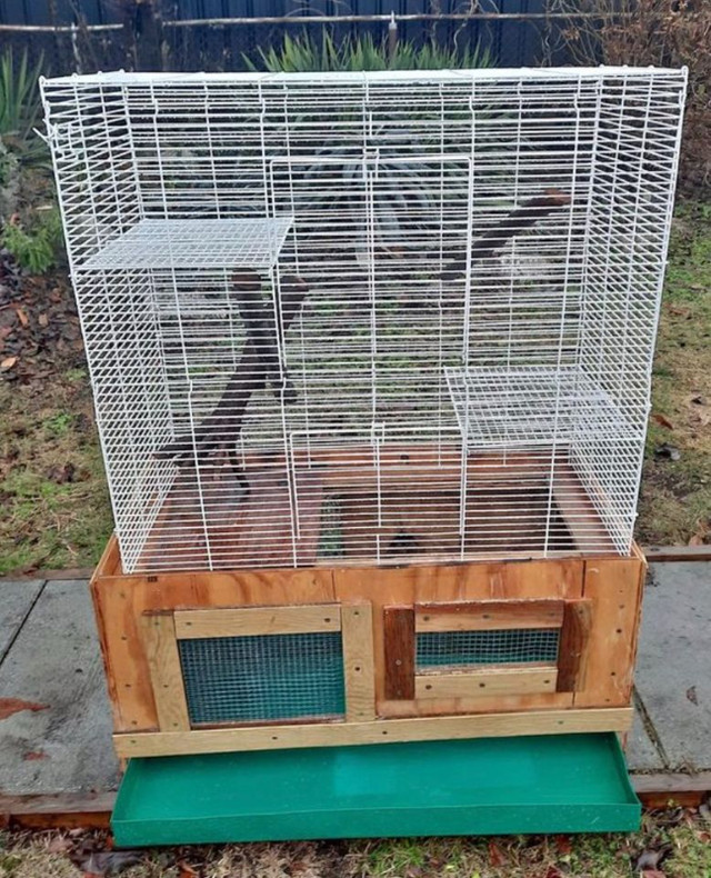 Large Rat Cage & Two Beautiful Rats for Rehoming | Accessories | Vancouver  | Kijiji