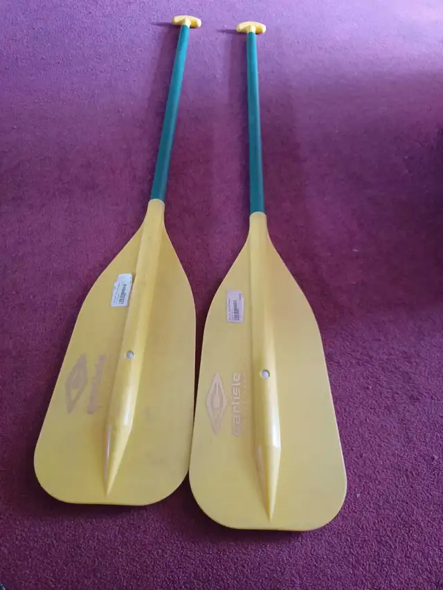 Canoe Paddles 