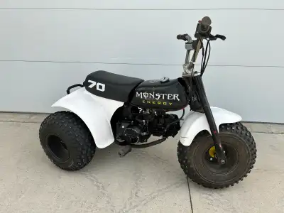 Lifan 110cc 4 speed Newer rear tires Replaced plastics and seat Aftermarket exhaust Loud and fast Vi...