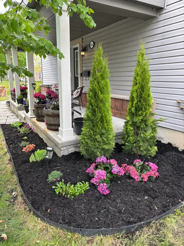 Exterior services & fall cleanup/snow removal in Lawn, Tree Maintenance & Eavestrough in Ottawa - Image 10