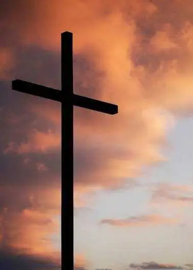 Bible study461885161593917440