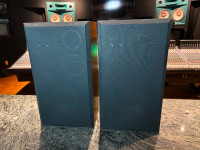 Acoustic Monitor DB IV (Pair)