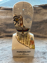 Phrenology bust by LN Fowler