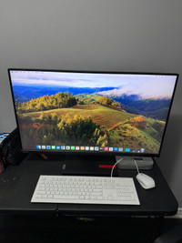 Apple Mac Mini M2 Pro W/Monitor
