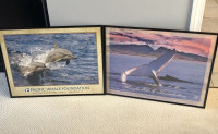 Framed Whale & Dolphin posters