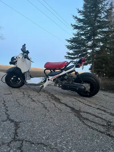 Selling my stretched Honda Ruckus, I haven’t taken it out of storage for 3-4 years. Ran great when i...