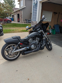 2010 V Rod Muscle with Low Mileage