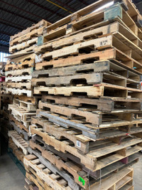 Wholesale Prices: Pallets $5 Each (100+ Orders) -  Scarborough