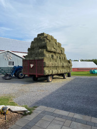 hay for sale , in All Categories in Ontario - Kijiji Canada
