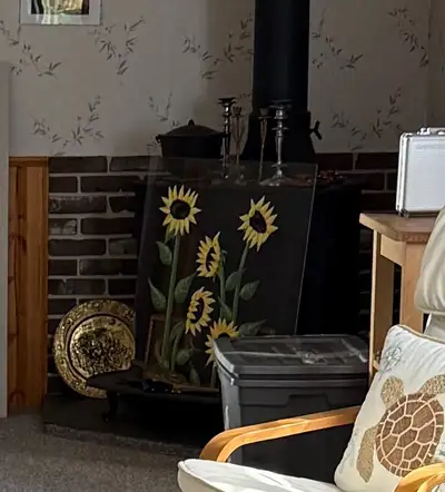 Old time wood burning cast iron stove. Needs a little cleanup, but it's solid. And heavy! Took 4 guy...