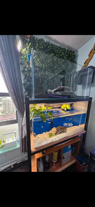 Aquarium IRon stand, View more