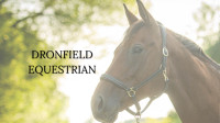 Horseback Riding Lessons - Registration Open - Starting in Feb