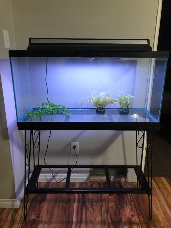 150 OBO 32 Gallon Fish Tank + Stand + Accessories Accessories