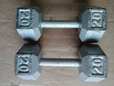 Set of 20 lbs Hex Dumbbells , View more