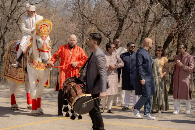 Baraat Horse Rental62864741767683122