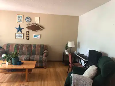 ROOM FOR RENT- 5 MINUTE WALK TO UNIVERSITY