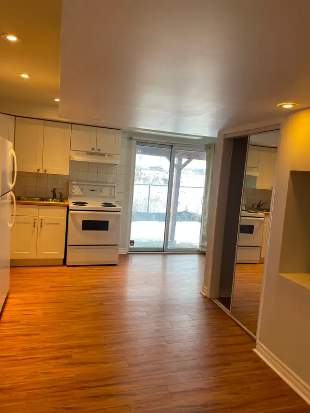 seperate entrance walkout basement for rent