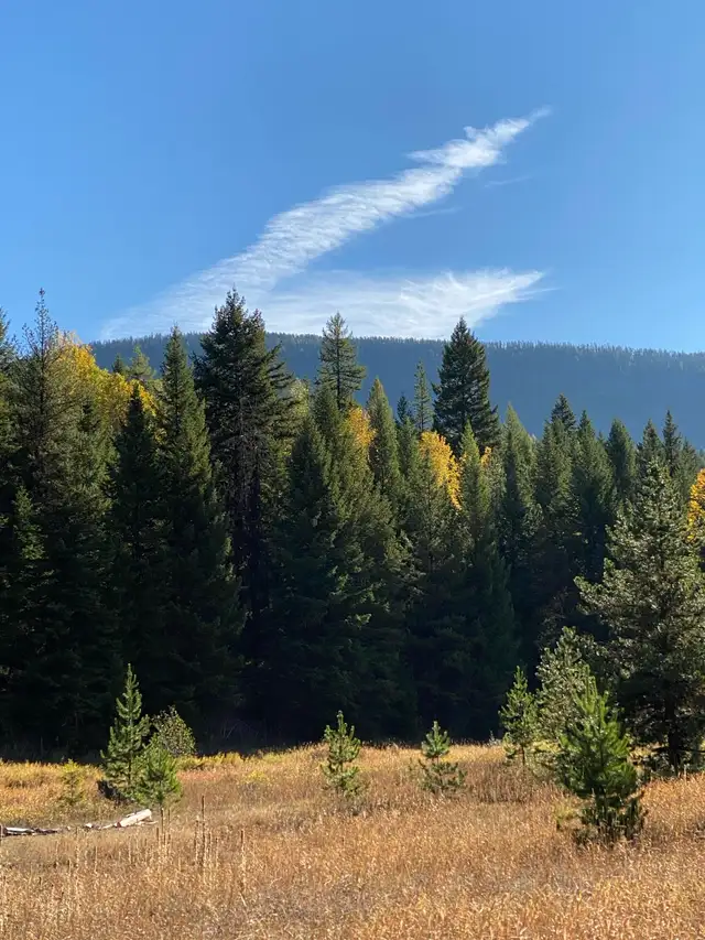 3% Financing; 15 Acreages- 1.3 to 6 acres, 25 Mins S of Kelowna63010224709251122