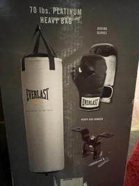 Everlast Boxing/Training Bag