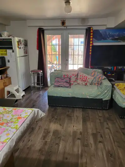 Two bedrooms walk out basement. Separated entrances by side door or back yard door. Your own laundry...