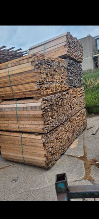 Several Huge Bundles of Dry Kiln Sticks (Approx 600pcs)