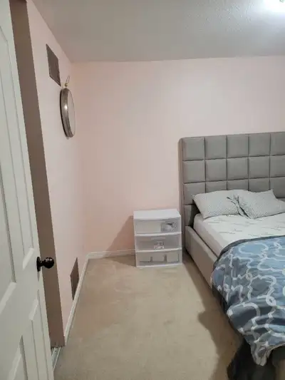 Furnished Rooms for Rent – Kanata South (Milner Downs Crescent) Option 1: Furnished room with a quee...