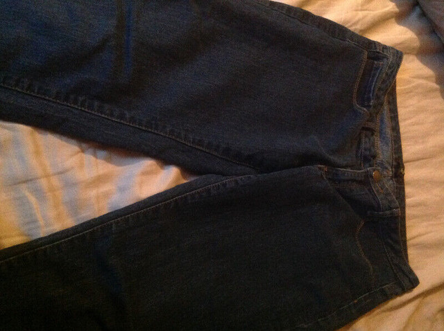Jeans, shorts, capris-Brand New! in Women's - Bottoms in Brantford - Image 2