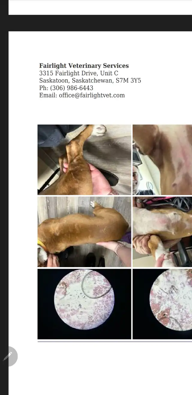 Injustice65669455852289123