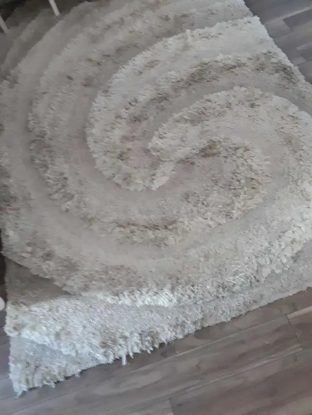 area  carpet rug in Rugs, Carpets & Runners in Ottawa - Image 3
