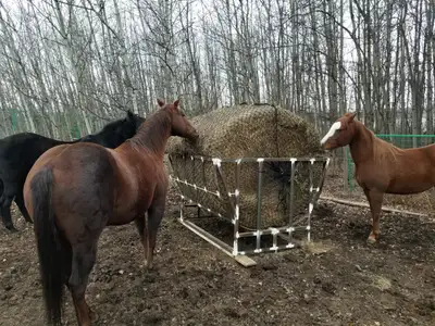 Bale Feeder, View more