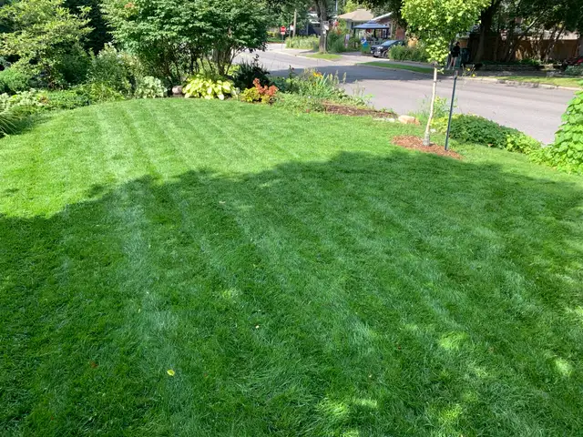 Westboro Yard Work561546765052170243