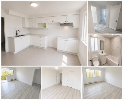 4½ rénové à louer - fully renovated for rent - NDG (Grand Blvd), View more
