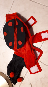 Dog coat, red ladybug