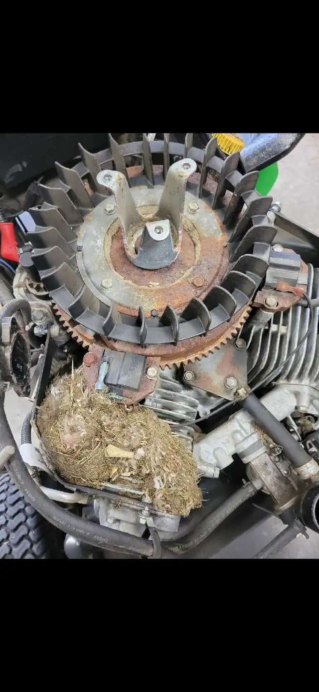 Fred's Small Engine Repair64562370385281122