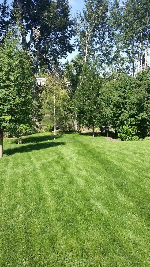 LAWN MOWING / GARDENING …62863721378050124