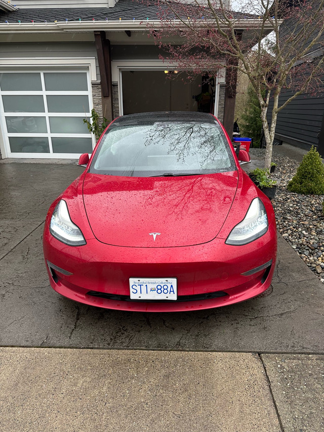 2020 Tesla Model 3 Standard Range Plus RWD in Cars & Trucks in Tricities/Pitt/Maple
