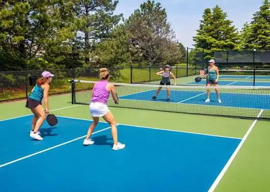 Pickleball495416448406661120