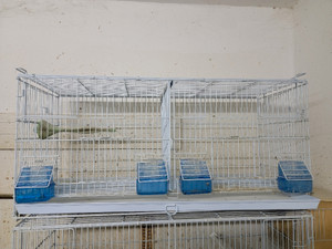 Breeding Cages For Canaries | Kijiji in Ontario. - Buy, Sell & Save with  Canada's #1 Local Classifieds.